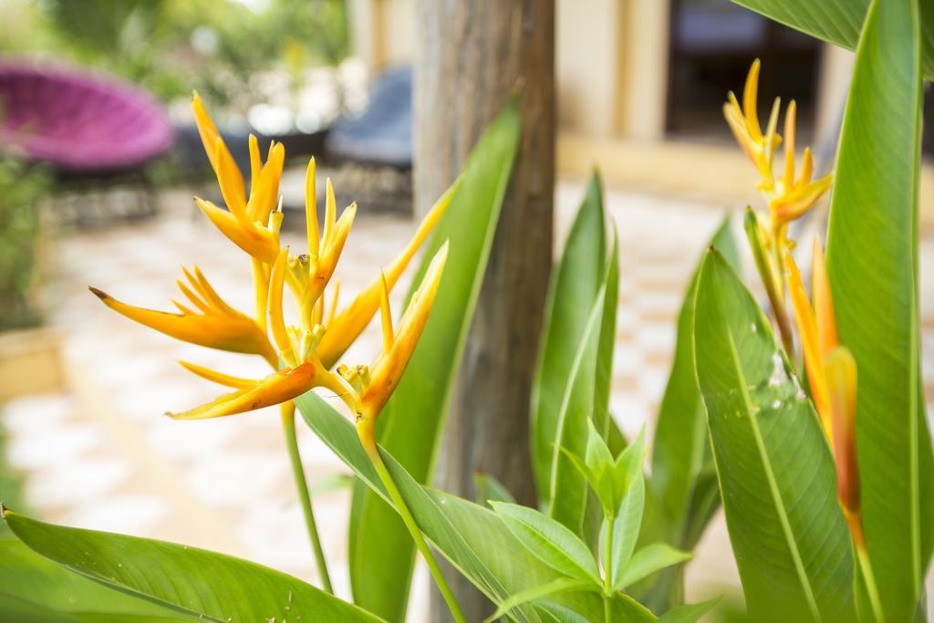 Champa Lodge Kampot Exterior foto